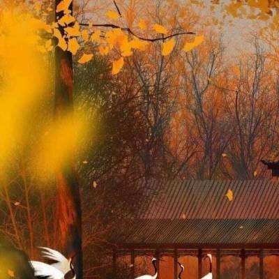 上海豫园：张灯结彩年味浓